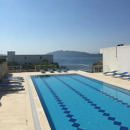 Vila Luxury Homes